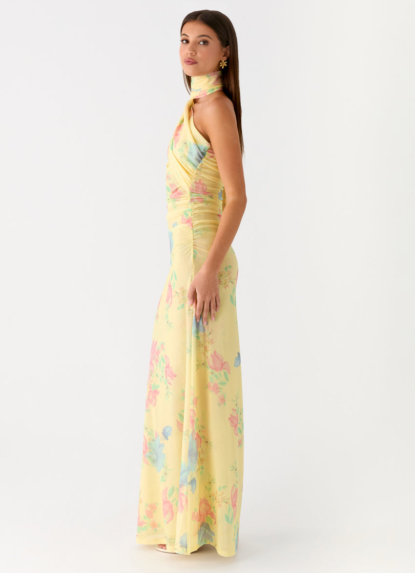 Songbird Maxi Dress - Spring Meadow